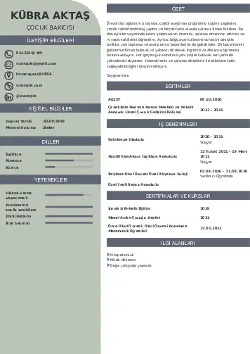 Çocuk Bakıcısı CV Örnekleri cv indir